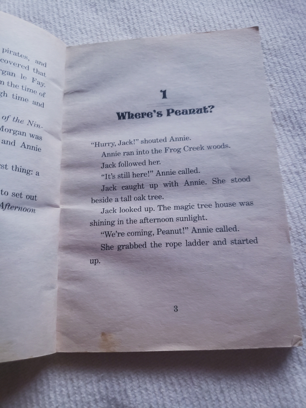 Magic Tree House Books - Picture 4 of 15
